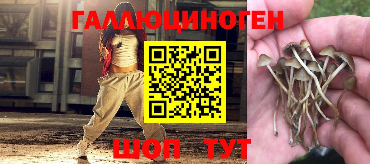 Артём  Галлюциногенные грибы прущие грибы  Галлюциногенные грибы прущие грибы  Вход с VPN 